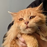 PXL_20220212_131800858~2