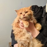 PXL_20220212_131807554~2