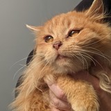 PXL_20220212_131759430