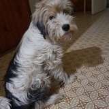 273011335_5058029254264150_548472502712681822_n