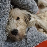 273037616_5058049924262083_595980042934936705_n