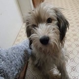 273206251_5058050050928737_4928692750502062033_n