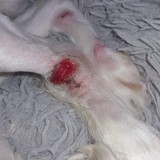 273500791_5080340102033065_5989783740791227926_n