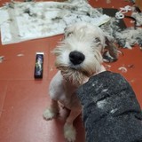 273523488_5080339568699785_4537632212266750600_n