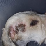 273562747_5080339792033096_3943686178570052629_n