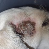 273563976_5080339685366440_6707477092877950651_n