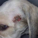 273596263_5080339935366415_613241438672956113_n