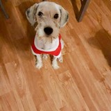 273651356_5080339452033130_4509768521879291477_n