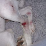 273659208_5080340308699711_136998207006017819_n