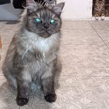 274339045_10221692796012055_1755695296554580580_n