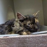 273444962_10221632858073644_7652146229002348940_n