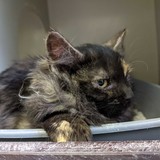 273447010_10221632857953641_5792516540705829534_n