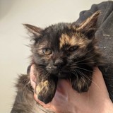 273948052_10221706482154200_4981000120640401961_n