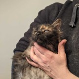 274136374_10221706487394331_6010955138196410919_n