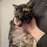 274228233_10221706486754315_2931404337861654201_n