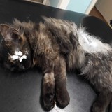 274241721_10221706446273303_6381561232760953907_n