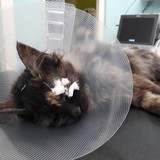 274292980_10221706446433307_8966273832001356720_n