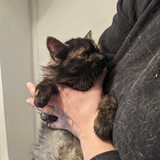 274709388_10221706480874168_1377860511572987802_n