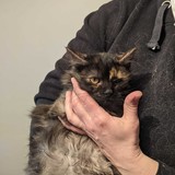 274710395_10221706487034322_8167943352132470606_n