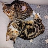 275430874_5161247237275684_7829602318556136857_n