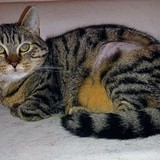 275433353_5161247433942331_5720853230798138594_n