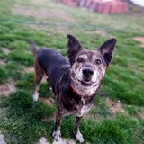 277556080_5214220618645012_4396179325412977769_n