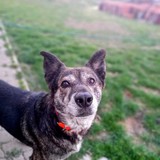 277300901_5214221141978293_7107302247368490440_n