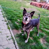 277302157_5214221328644941_3292580312360132457_n