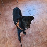 275443670_5166447570088984_4810998708474196223_n