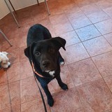 275550721_5166447300089011_8601720169368747190_n