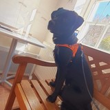 276269158_5200983256635415_2182800529461936356_n