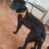 277171205_5200983366635404_75142188850508373_n