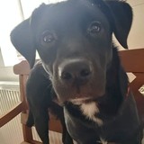 277176471_5200983146635426_917075757220355568_n