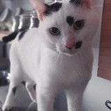 278484122_10221943754605863_6481760446054996642_n