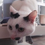 278510224_10221943754405858_6363908774104383100_n