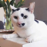 278532205_10221943754165852_1191991946368892409_n