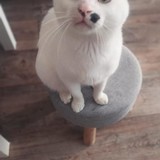 278604173_10221943752285805_3474529360817563333_n