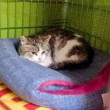 278939623_5280014295398977_8164427231496066551_n