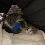 279443029_5296751157058624_1189630006756013514_n (1)