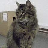 279296506_683548826037356_5839442603764747884_n