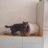 283660512_1262449844289665_5507349152393412858_n