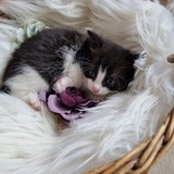 IMG-20220604-WA0003-01