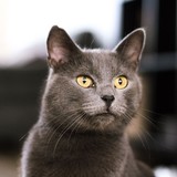 295256067_748993826281304_7452298295718665445_n