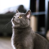 295275350_748993829614637_2977859446586416960_n