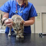 PXL_20220801_083223430.MP