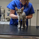 PXL_20220801_083237327