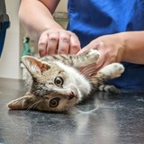 PXL_20220801_083256480