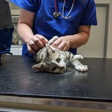 PXL_20220801_083248392.MP