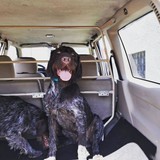 297881252_5584547074945696_5450451560338641487_n