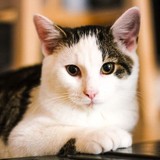 FB_IMG_1665250402696